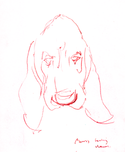 red ears basset