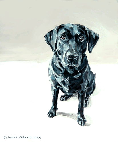 labrador painting portrait