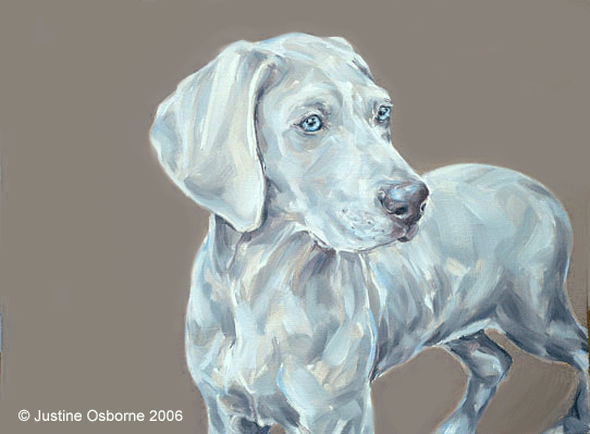 dog portrait painting of a puppy weimaraner