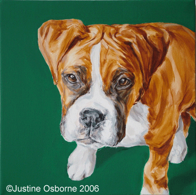 oil portrait painting of a boxer dog