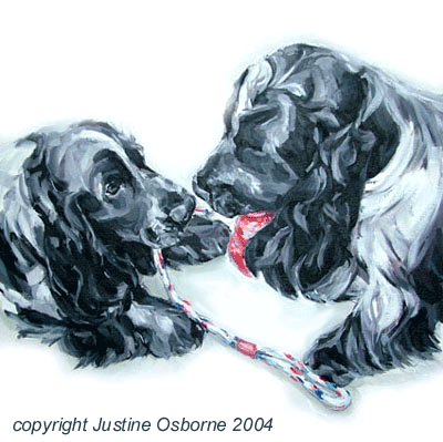 dog portrait of two cocker spaniels