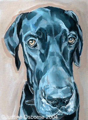 dog portrait painting Great Dane