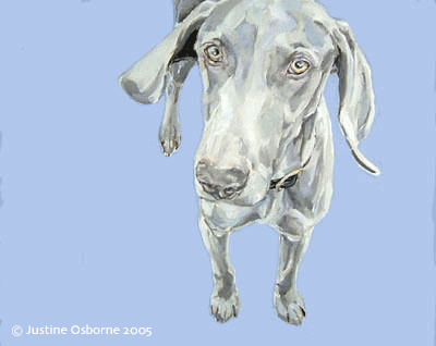 dog portrait painting weimaraner