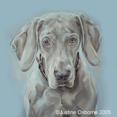 dog portrait painting of a weimaraner