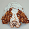 springer portrait painting