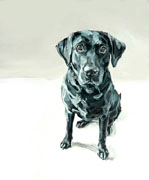 modern art to buy black labrador