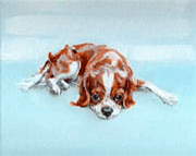 modern art to buy spaniel