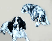 collie & springer painting