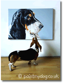 gallery basset portrait