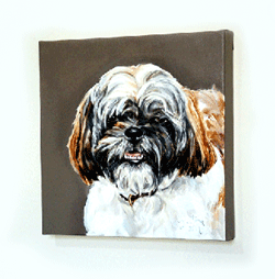 modern portrait shihtzu