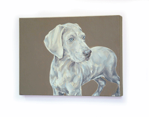 gallery style painting weinmaraner