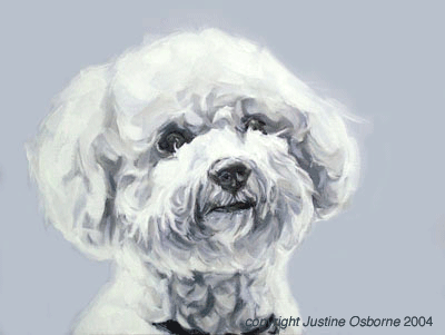 bichon frise portrait painting