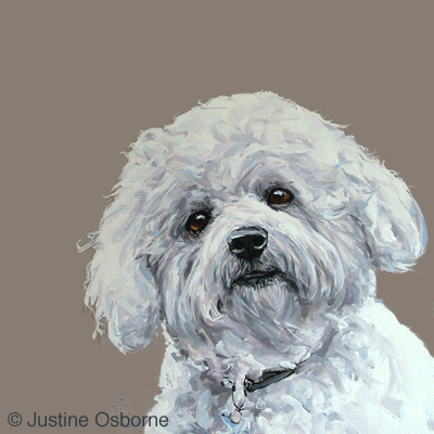 bichon frise painting