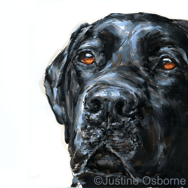 Dog paintings shop for sale