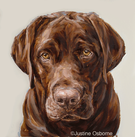 modern labrador portrait