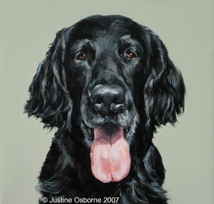 portrait flat coat