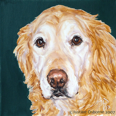 golden retriever portrait