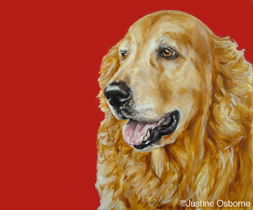 golden retriever portrait painting