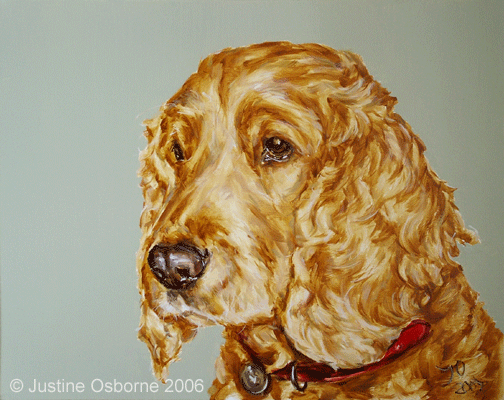 dog portrait of two cocker spaniels