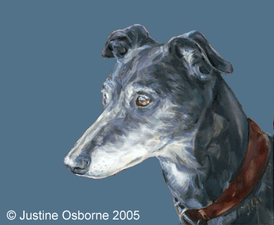 head greyhound art