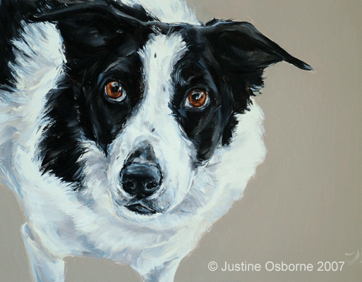 dog painting portrait of a kelpie cross