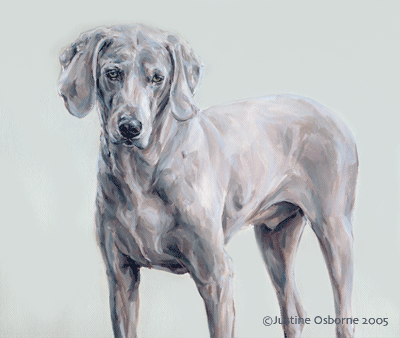 weimaraner dog painting