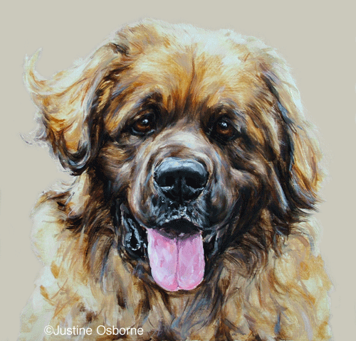 leonberger  portrait painting