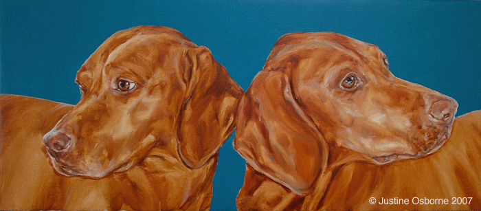 modern portrait of two vizslas