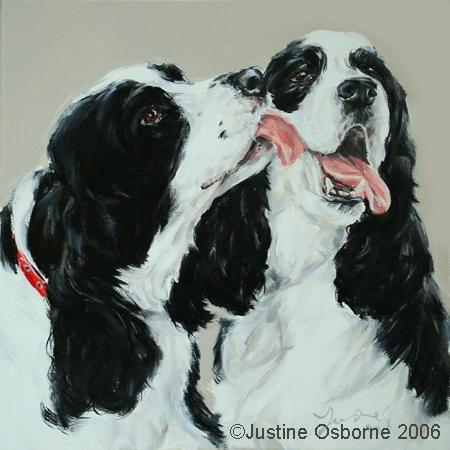 american cocker spaniel portrait