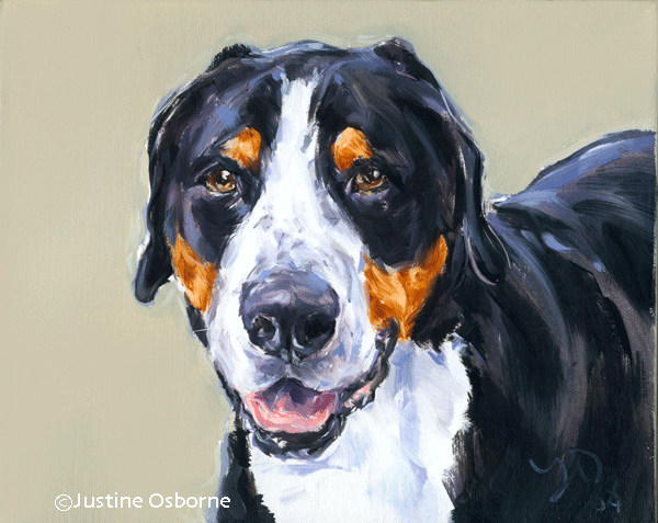 portrait painting of a swiss mountain dog