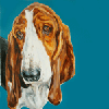 basset hound print