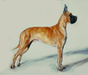 great dane print