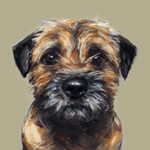 Border Terrier print