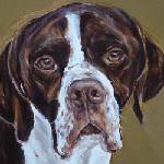 liver white pointer painting