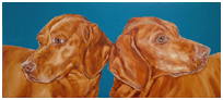 vizslas portrait painting