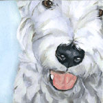 westie dog pet portraits