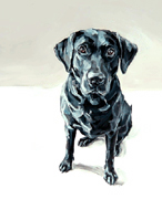 black lab painting