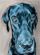 great dane pet portrait