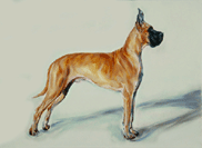 great dane painting