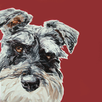 modern dog art - schnauzer