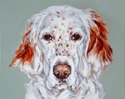 english setter dog painting