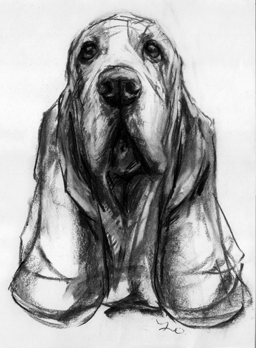 PaintMyDog - Modern, Contemporary Dog Portraits, Pet paintings and Dog