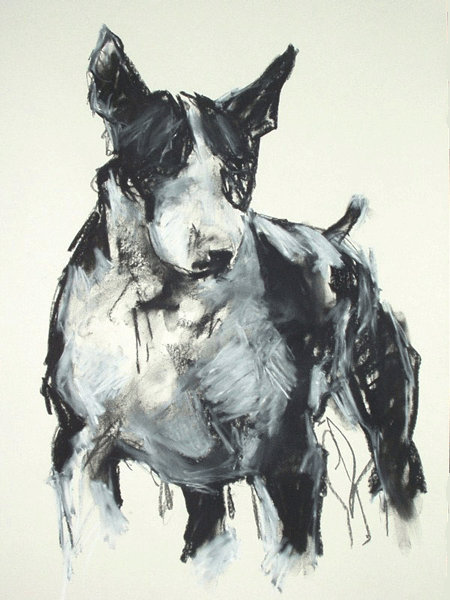 capture the character of your bull terrier with a a stylish dog portrait