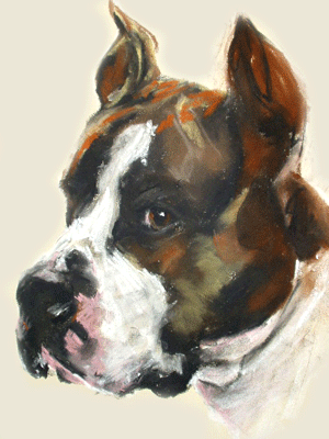 capture the character of your staffie with a a stylish portrait