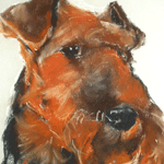 pastel portrait airedale