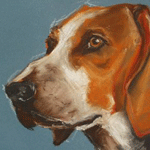 beagle pastel portrait