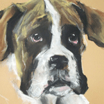 boxer pastel portrait
