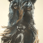 pastel portrait scottie