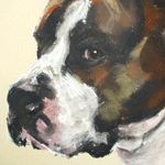 staffy pastel portrait