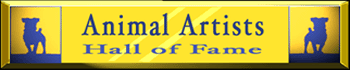 pet portraitist, art, painter